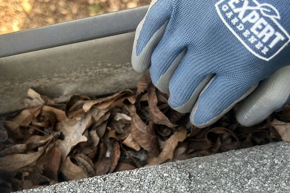 Gutter Cleaning Ocean Isle Beach